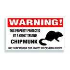 chipmunk decal